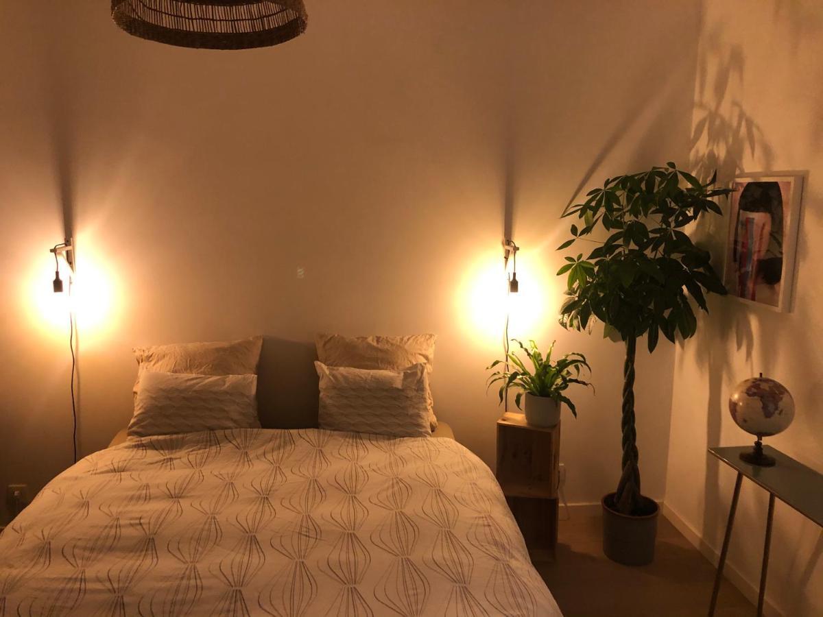 Appartement Op Top Locatie In Antwerpen Dış mekan fotoğraf
