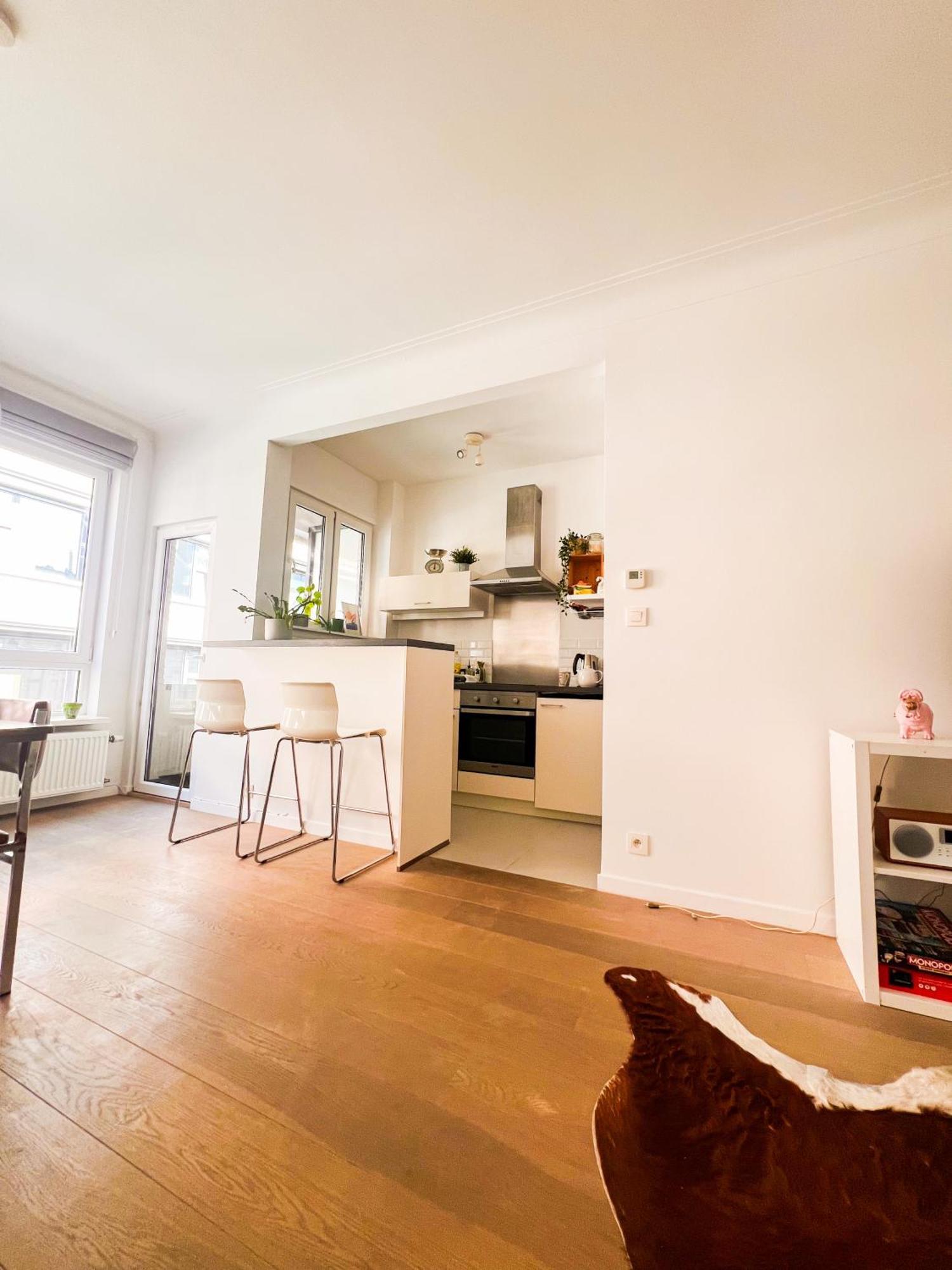 Appartement Op Top Locatie In Antwerpen Dış mekan fotoğraf